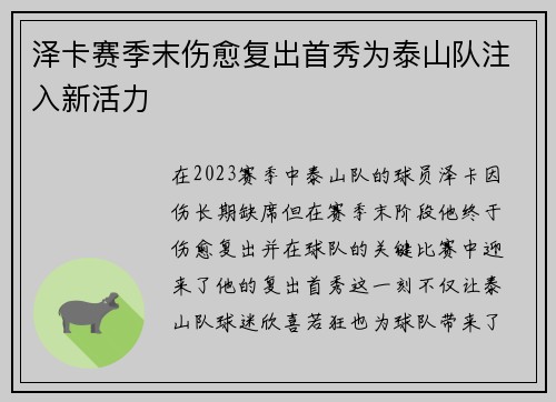泽卡赛季末伤愈复出首秀为泰山队注入新活力